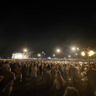 Night Rhythms Under the Stars