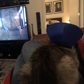 The Blue Hat Couch Cat