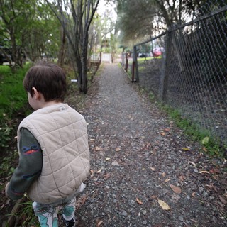 Young Child Gazing Down Autumn Path at Dusk