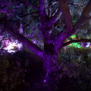 Enchanted Twilight in the Garden