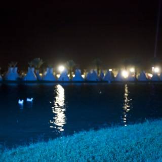 Swans and Lights on the Shore