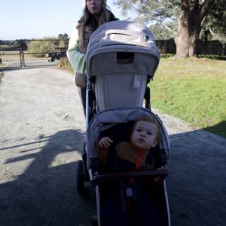 Afternoon Stroll at Thistlewyck