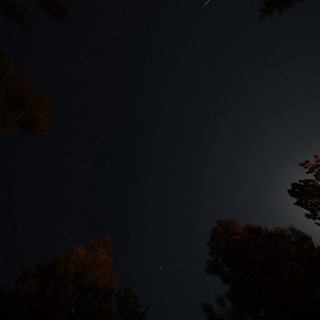 Moonlit Starry Sky Over Forest at Mt. Lassen