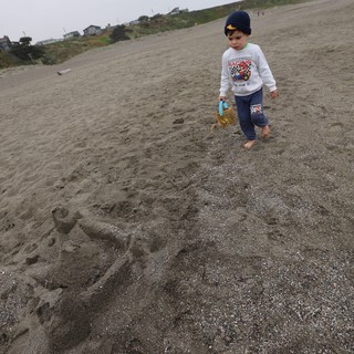 Young Explorer Walking Barefoot on Foggy Beach