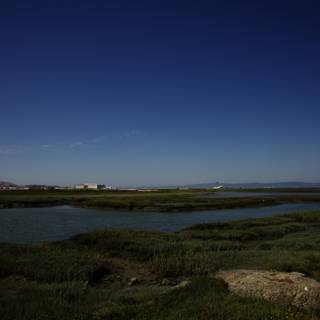 Beauty of the Bay: A Panoramic Pictorial from Millbrae