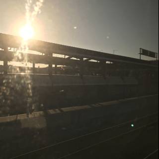 Sun-Kissed Train Ride