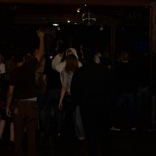 Nightclub Crowd in 2007