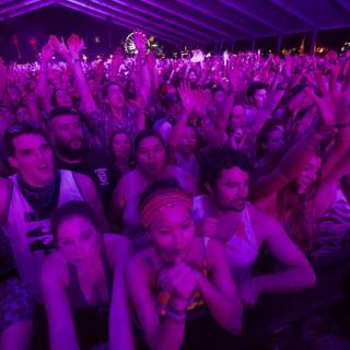 Coachella 2012 Crowd Pumped Up their Hands