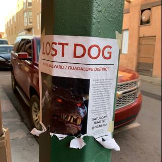 Dog Poster Advertisement