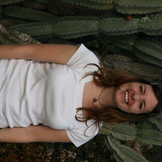 botanical-garden-or-desert-park-possibly-southern-california-or-mediterranean-climate-region