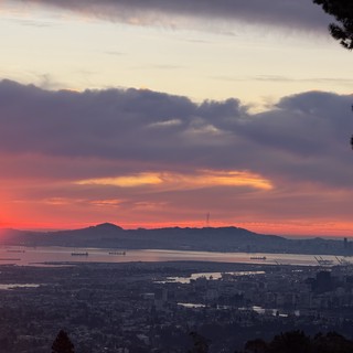 Golden Sunset Over San Francisco Bay from East Bay Hills