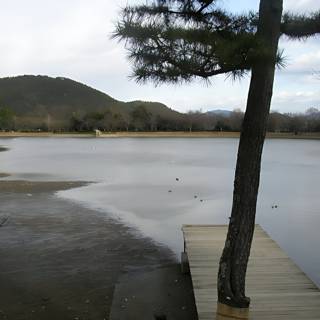 Serenity at the Lake