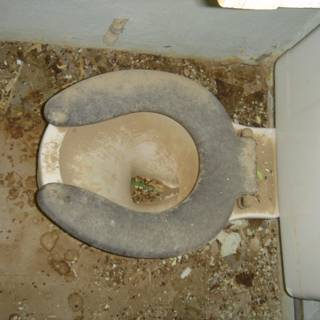 Filthy Toilet with Grimy Seat
