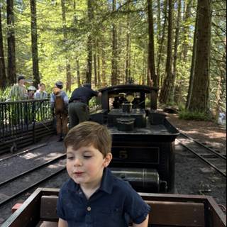 Woodland Train Adventure