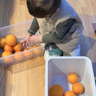 Young Child Sorting Oranges in Kitchen Activity