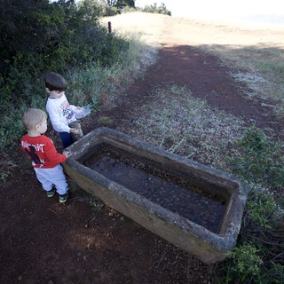 Young Explorers Discover Stone Trough on Mountain Trail