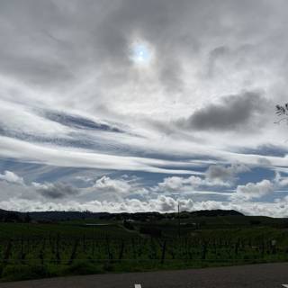 Cloudscape over Vineyards