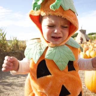 Capturing Pumpkin Magic with Baby Wesley
