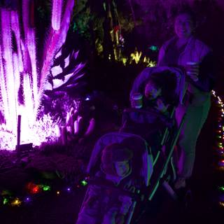 Enchanted Evening Stroll