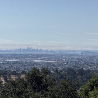 Vista Over the Bay: Oakland to San Francisco