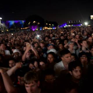 Night Crowd at a Concert