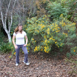 Woman Walking Among Golden Wildflowers on Forest Trail