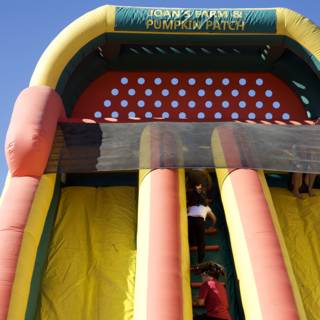 Soaring Fun at Joan's Farm