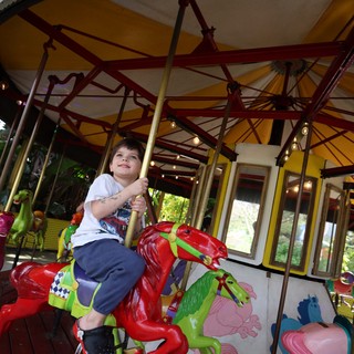 Young Boy Enjoying Colorful Carousel Ride at Fantasyland