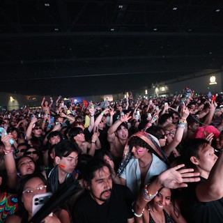 Massive Crowd Erupts at Wobbleland Music Festival 2026