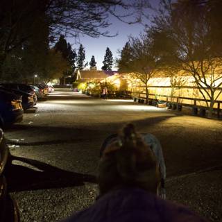 Night Stroll in the Garden of Lights