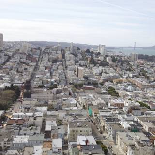 Aerial view of San Francisco's cityscape
