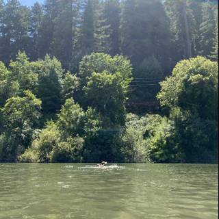 Kayaking through a River Paradise