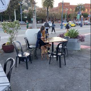 Man and Dog Enjoying Outdoor Dining