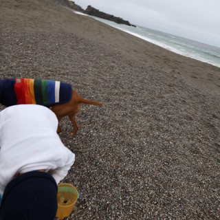 Father's Day Beach Walk with Dog on Rocky Shore