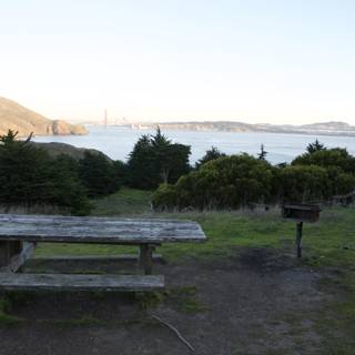 Serene Picnic Spot Overlooking the Bay