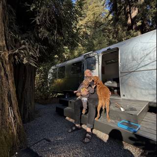 Morning Bliss in the Redwoods