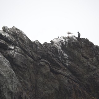 Seabirds Perched on Rugged Coastal Rock Formation
