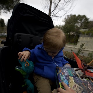 Young Child Reading Dinosaur Book in Stroller Outdoors