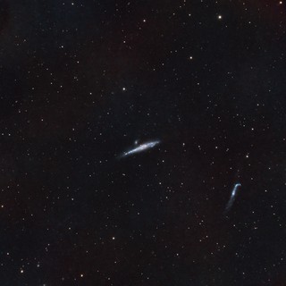 NGC 4631 - The Whale Galaxy in SHO Narrowband
