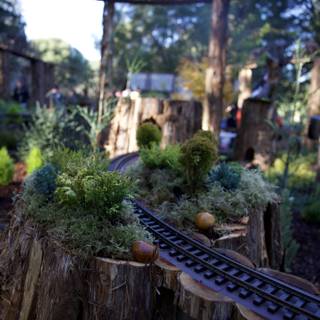 Whimsical Woodland Railway