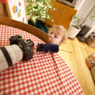Young Child Reaching for Camera at Christmas Table