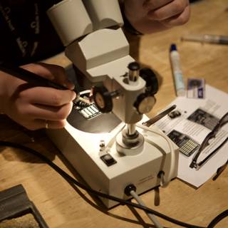 Examining Samples on Microscope