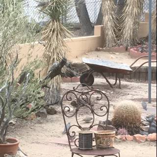 Feathered Garden Visitor