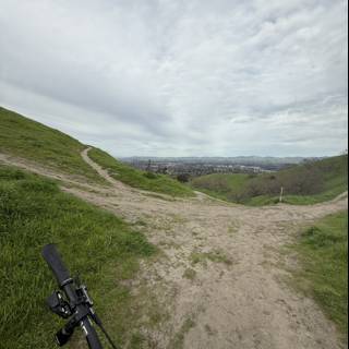 Wandering Trails of Walnut Creek