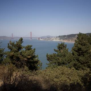 Overlooking the Golden Gate Bridge