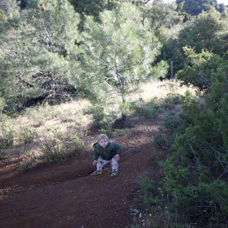 Toddler Explores Red Dirt Trail on Mount Diablo