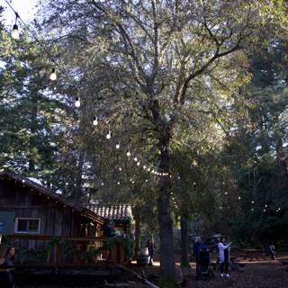 Autumn Gathering at Thistlewyck