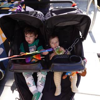 Stroller Adventures