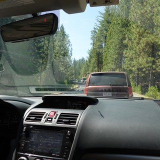 Forest Highway Drive Through Evergreen Mountains