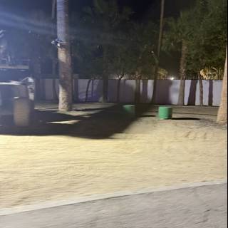 Nighttime Palms at Empire Polo Club